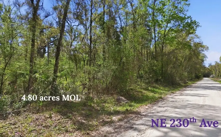 TBD NE 230th Avenue, Old Town, FL 32680 - #2