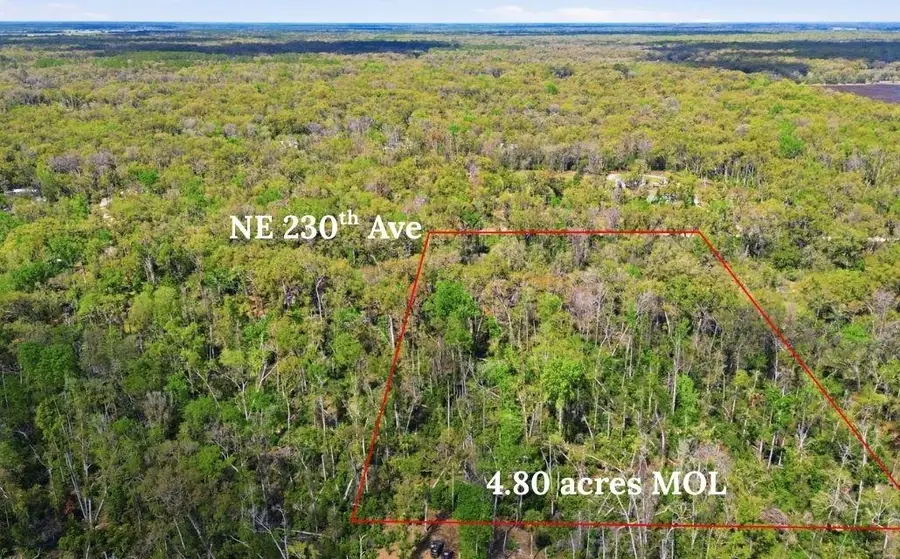 TBD NE 230th Avenue, Old Town, FL 32680 - #3