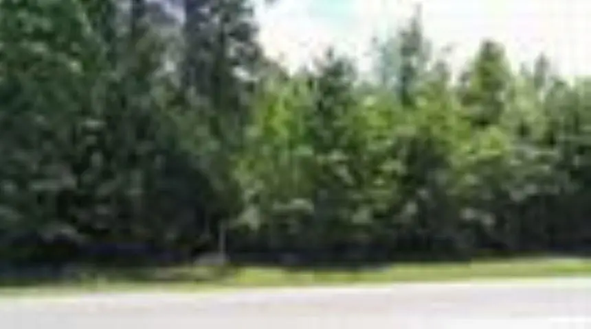 XXXXX NW County Road 12, Bristol, FL 32321 - #3