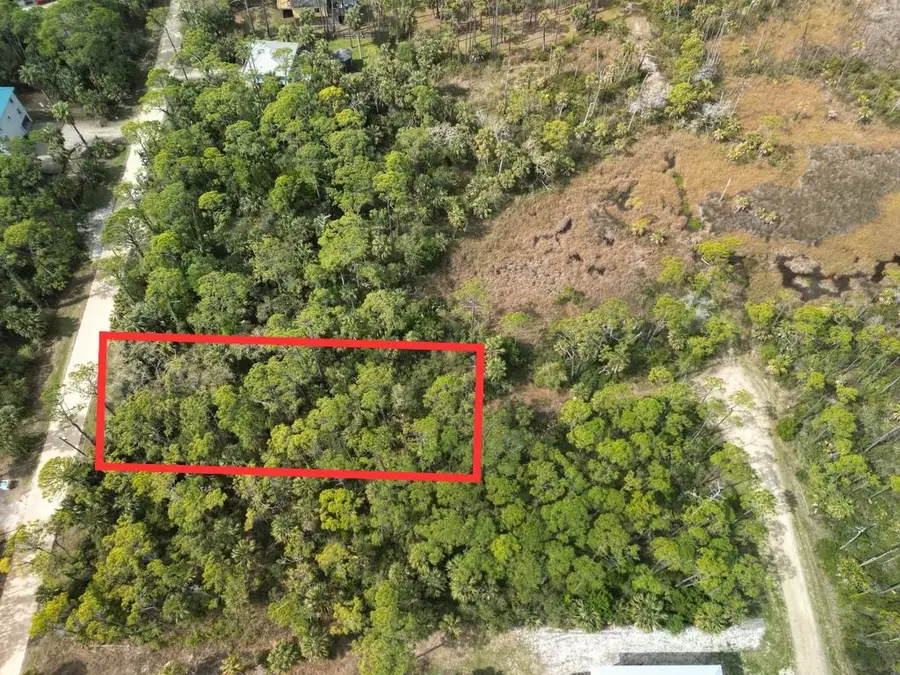 681 E Pine Avenue, Saint George Island, FL 32328 - #3