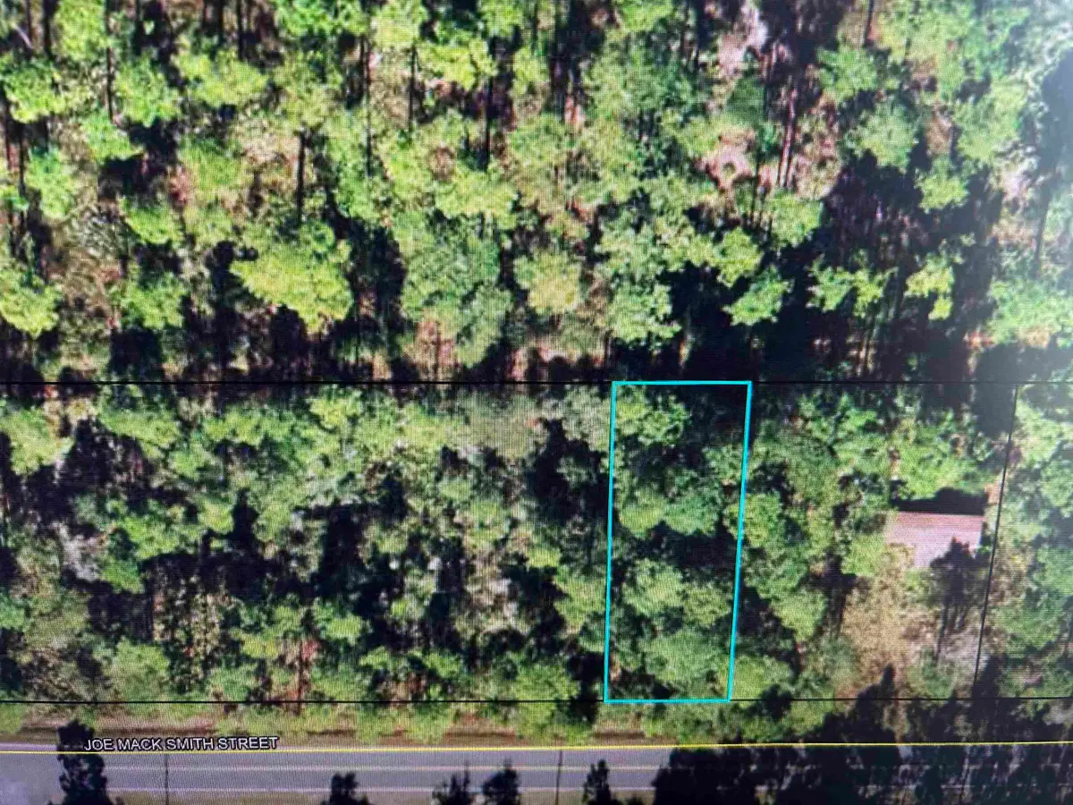xx Joe Mack Smith Street #1, Panacea, FL 32346 - #1