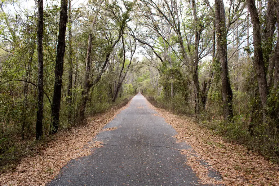 245 NE East Peppermint Trail, Pinetta, FL 32350 - #2