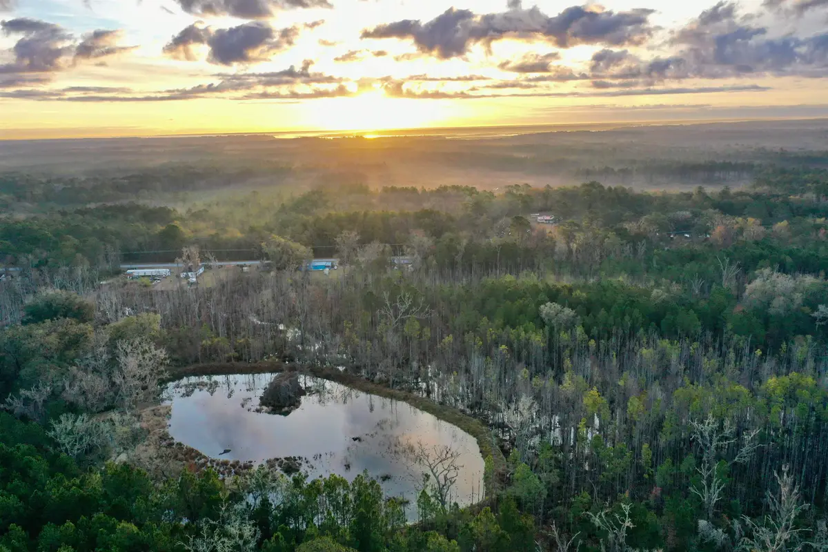 2909 N Shellman Bluff Road #2909 SHELLMAN BLUFF RD N, Townsend, GA 31331 - #1