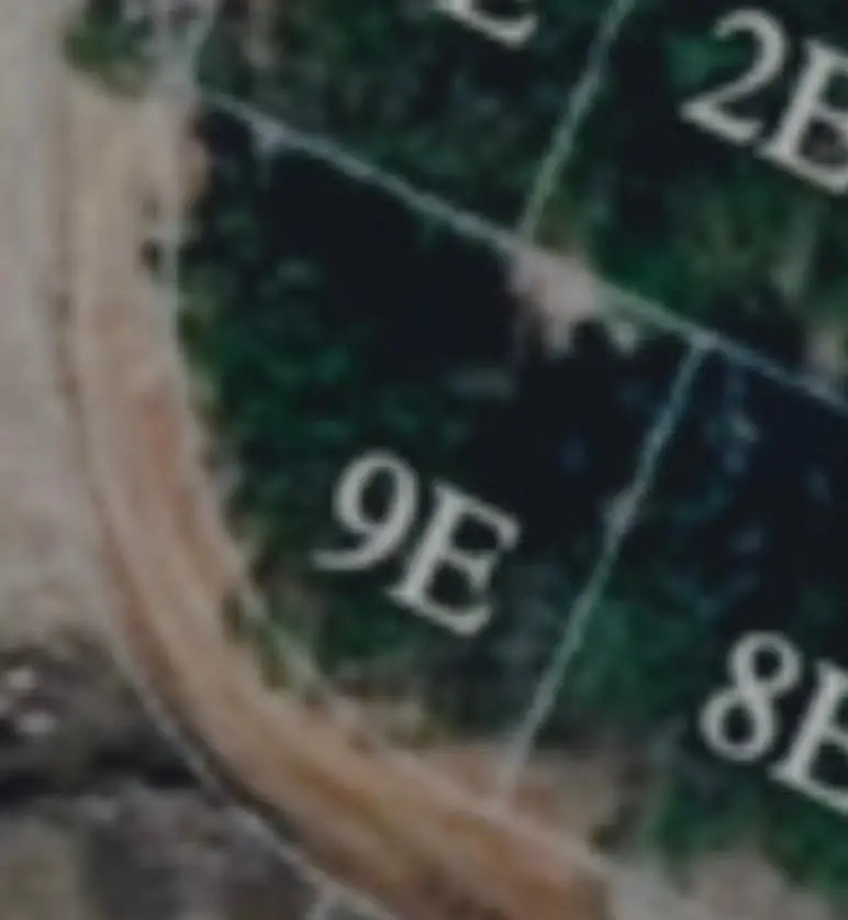 XXX Maple Leaf Way, Tallahassee, FL 32311 - #1