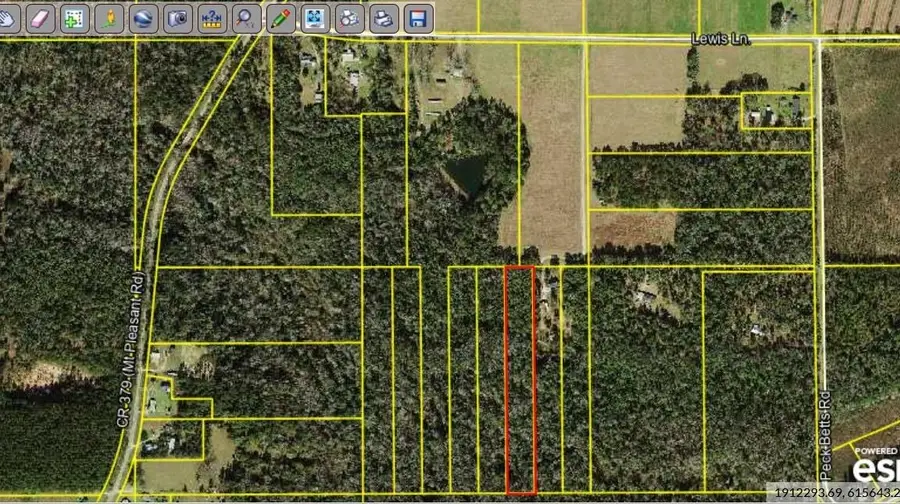 XXX Lewis Lane, Quincy, FL 32351 - #3