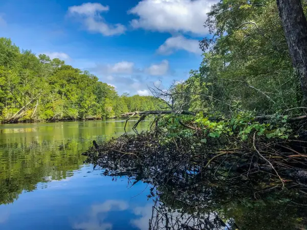 Lighthouse Road, Crawfordville, FL 32327