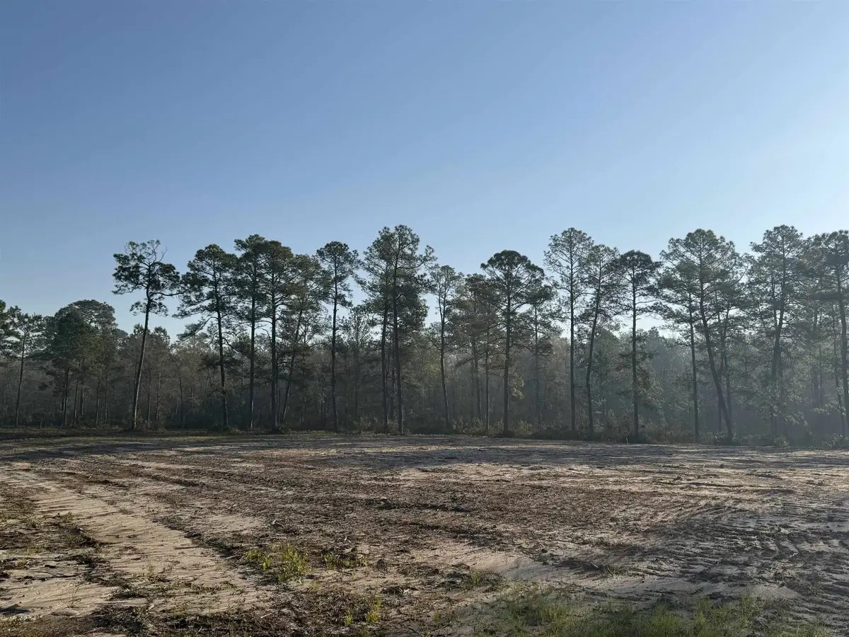 Lot 81 Proctor Road, Tallahassee, FL 32309 - #1