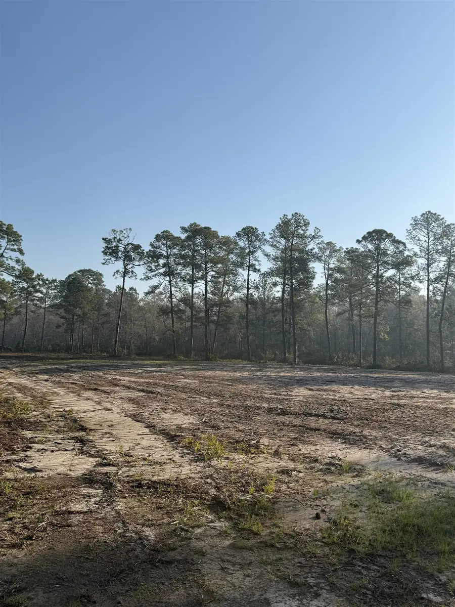 Lot 81 Proctor Road, Tallahassee, FL 32309 - #2