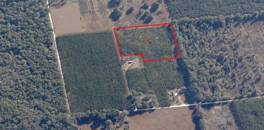 000 225th Road, Live Oak, FL 32060 - #3