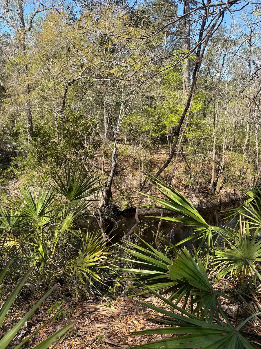 XX Fonigan Road, Sopchoppy, FL 32358 - #3