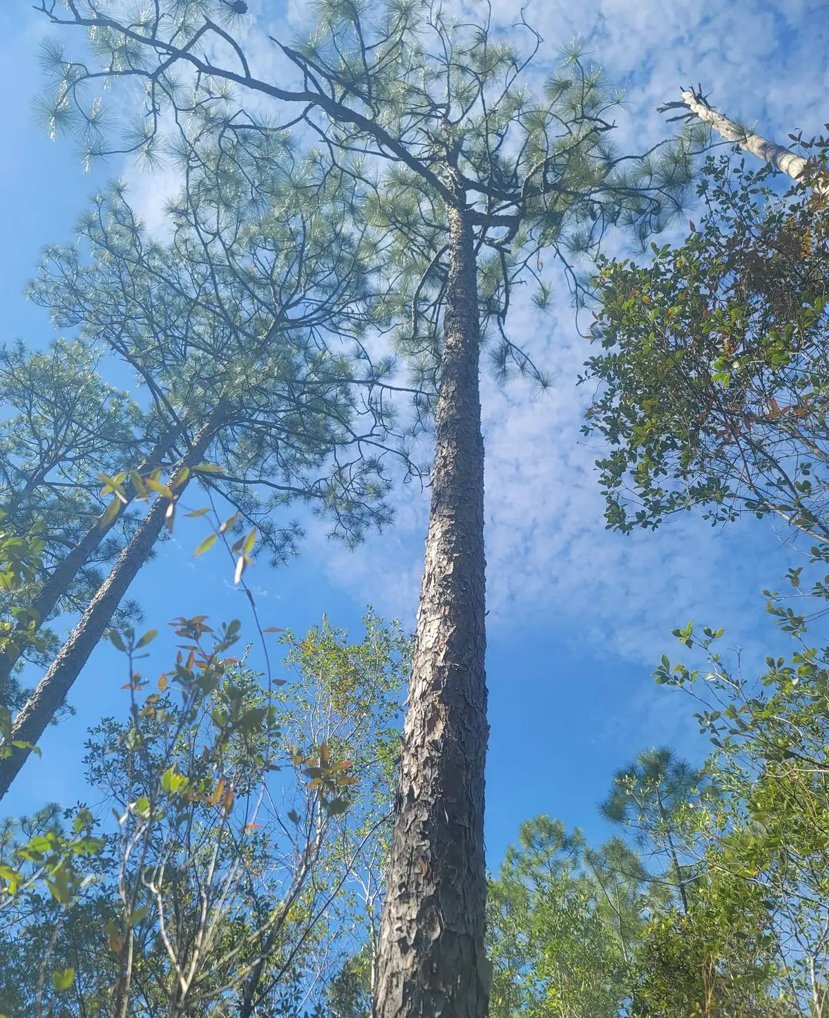 0 Smith Creek Road, Tallahassee, FL 32310 - #1