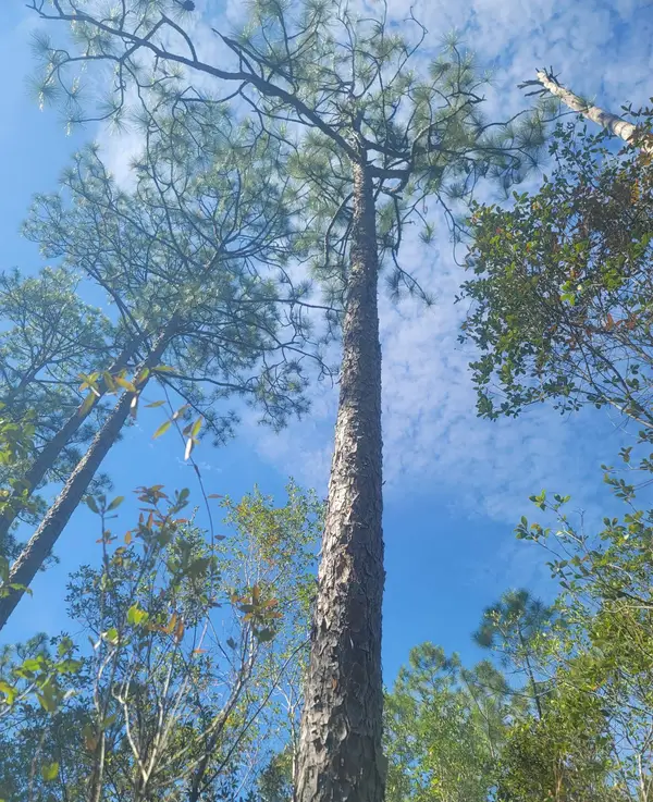 0 Smith Creek Road, Tallahassee, FL 32310