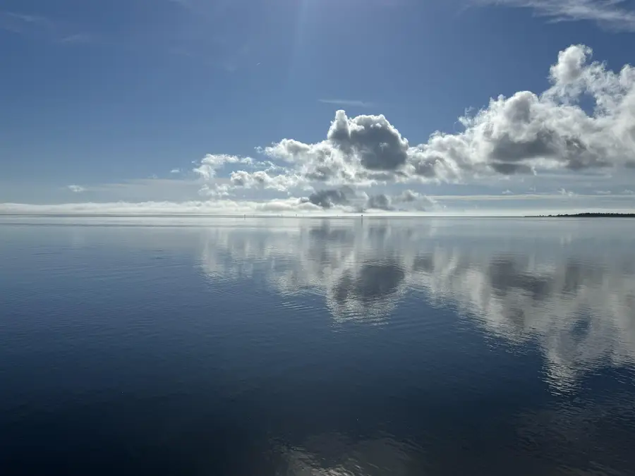 Sunrise Lane #IV, Panacea, FL 32346 - #2