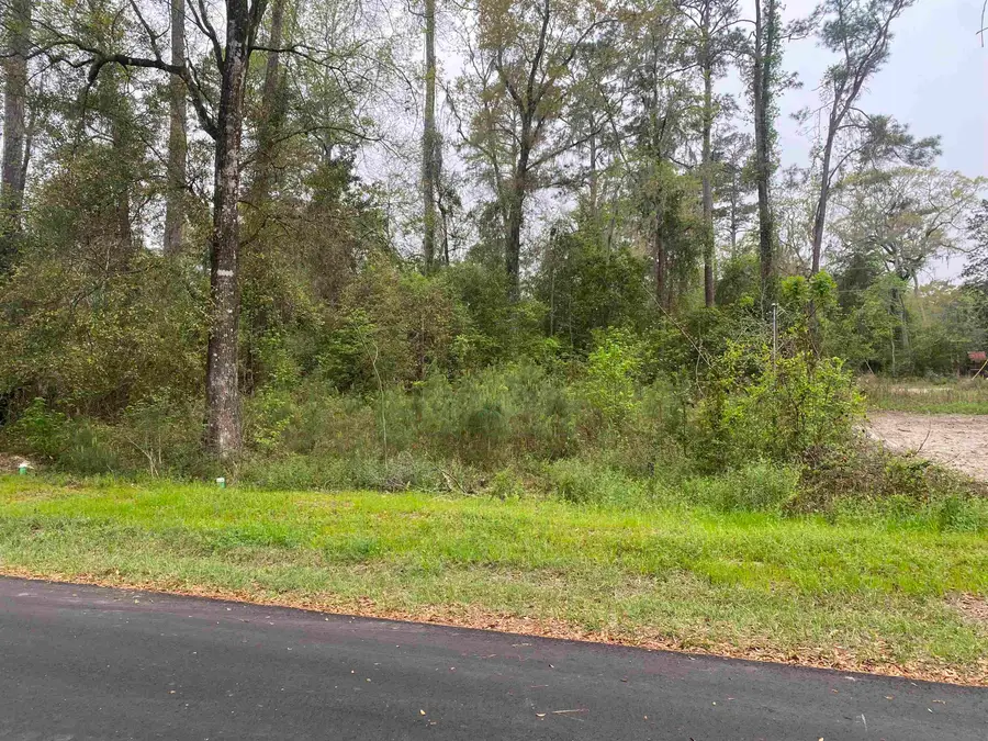 24 Maxson Road, Crawfordville, FL 32327 - #3