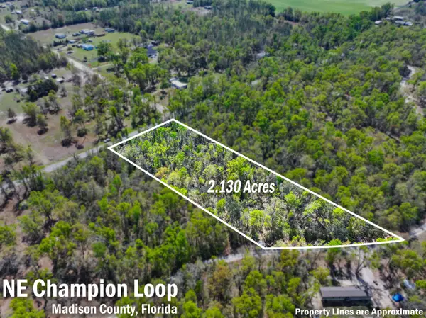 XXX NE Champion Loop, Lee, FL 32059