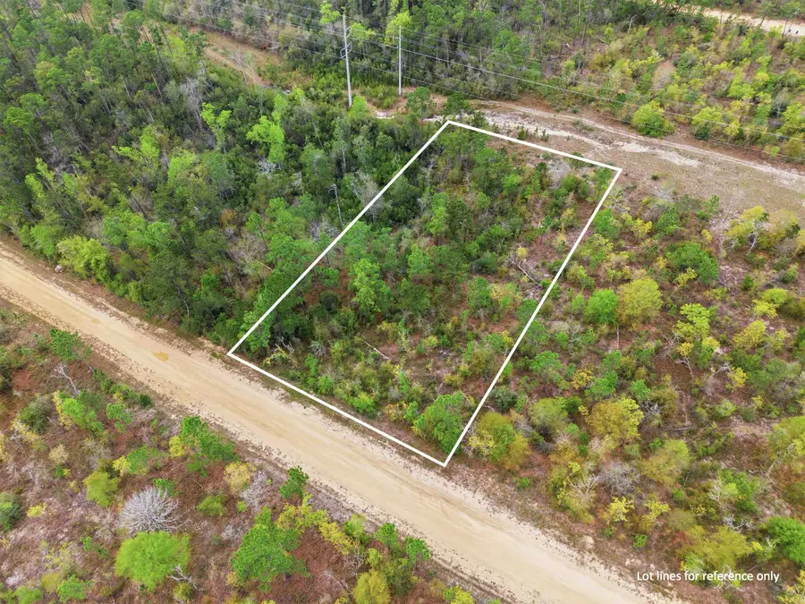 TBD Channel Drive, Alford, FL 32420 - #2