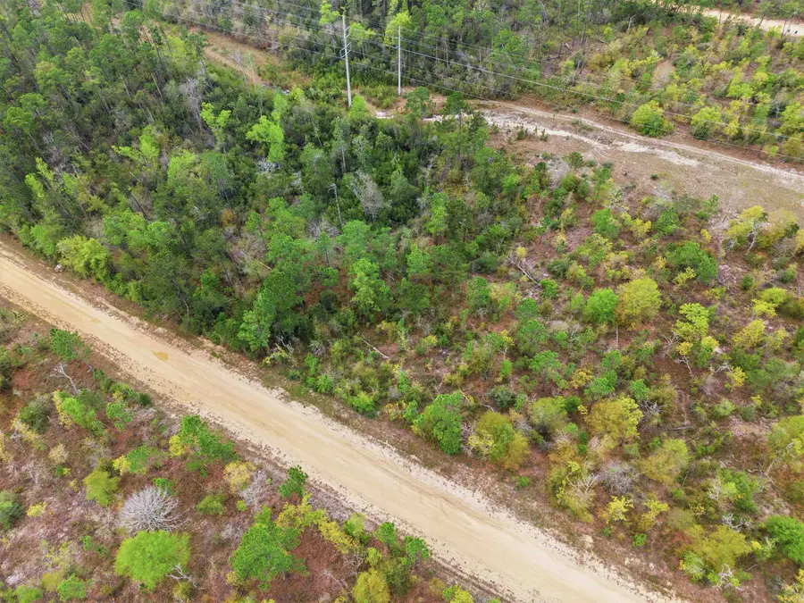 TBD Channel Drive, Alford, FL 32420 - #3