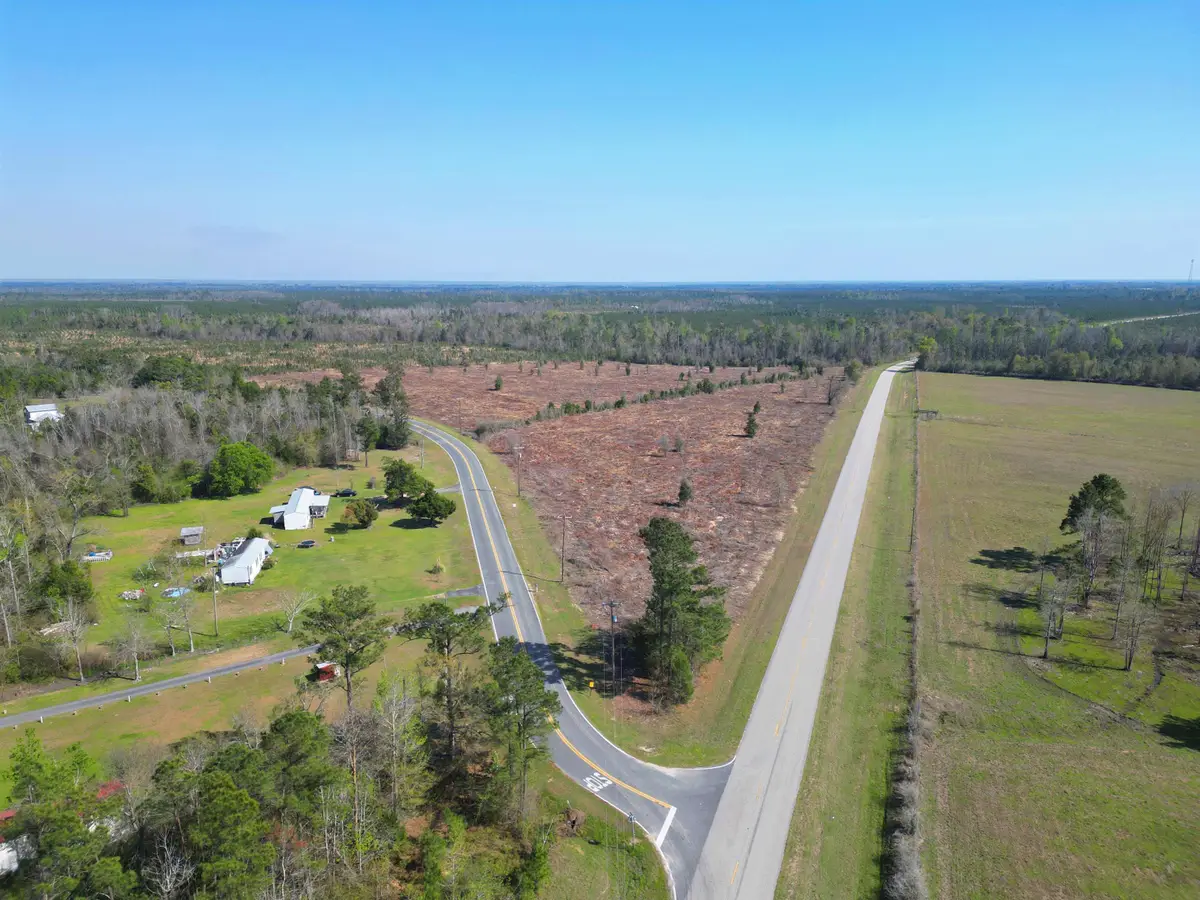 TBD, Lot #2 SW County Road 275, Blountstown, FL 32424 - #1