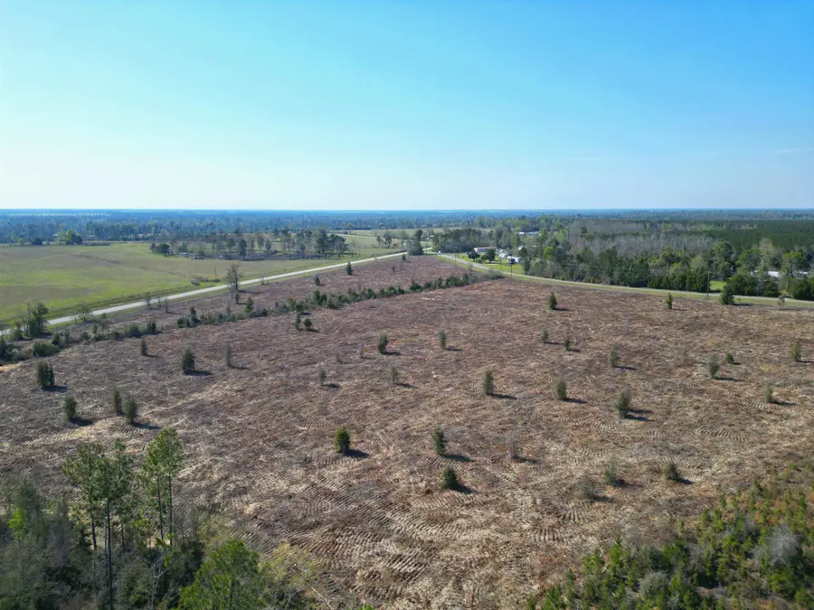 TBD, Lot #2 SW County Road 275, Blountstown, FL 32424 - #3