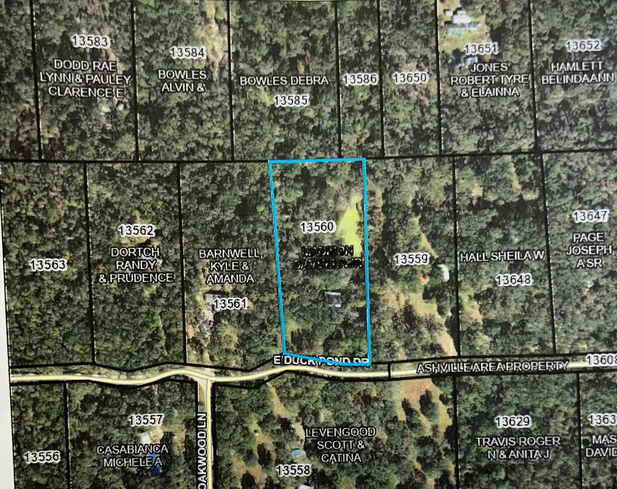 455 E Duckpond Dr Drive, Greenville, FL 32344 - #1