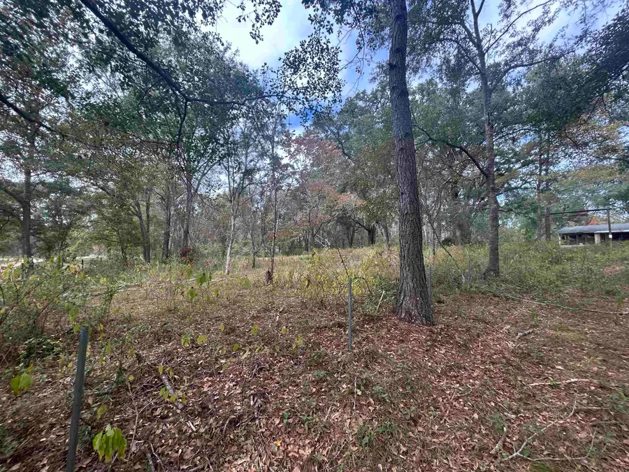 455 E Duckpond Dr Drive, Greenville, FL 32344 - #3