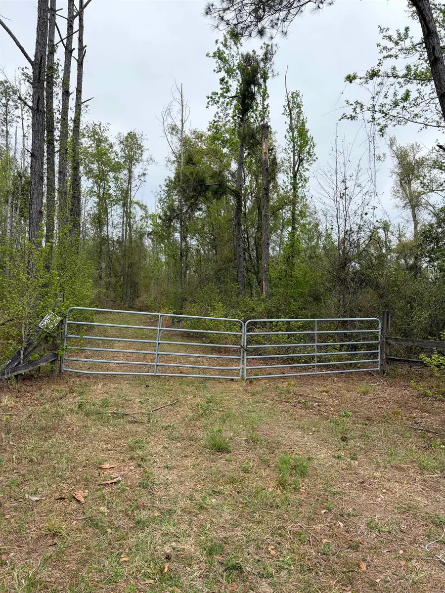 870 SW San Pedro Road, Madison, FL 32340 - #2