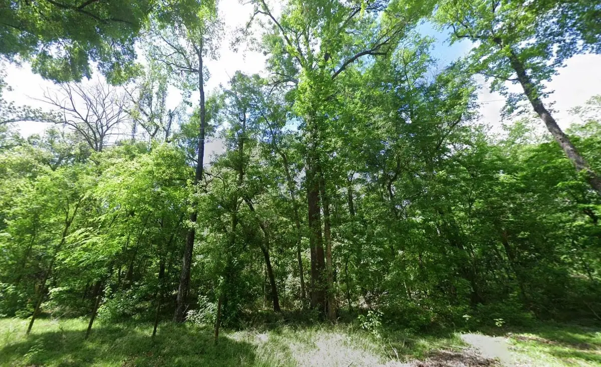 244 SW Delaware Way, Fort White, FL 32038 - #1