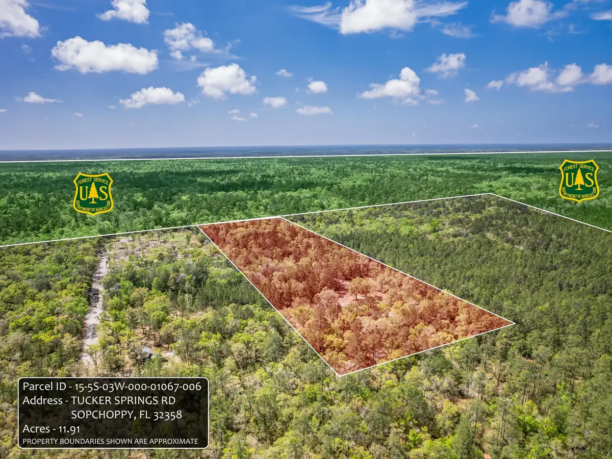 xxx Tucker Springs Road, Sopchoppy, FL 32358 - #1