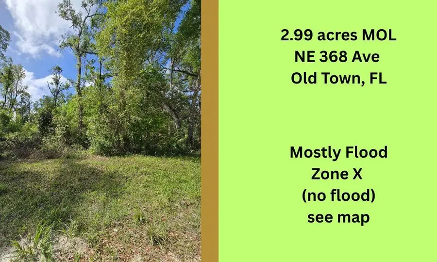 TBD NE 368th Avenue, Cross City North, FL 32680 - #2