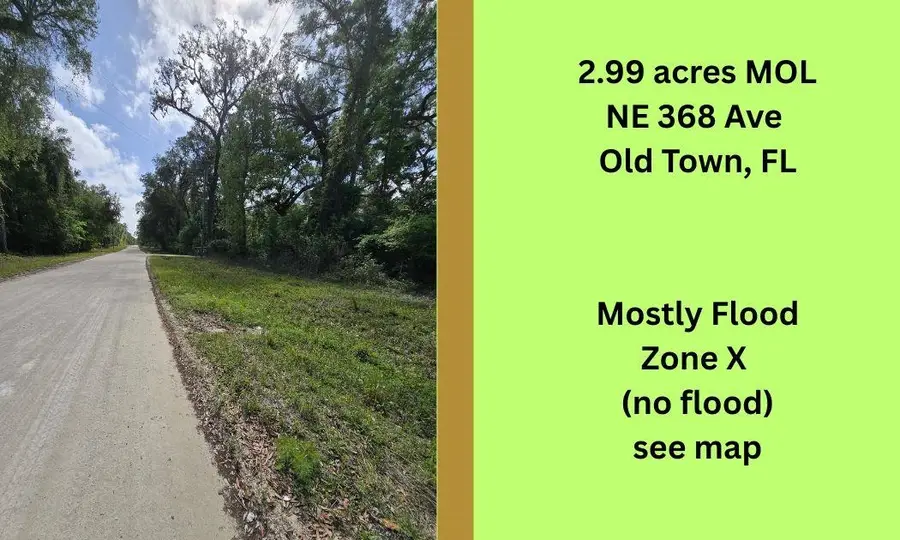 TBD NE 368th Avenue, Cross City North, FL 32680 - #3