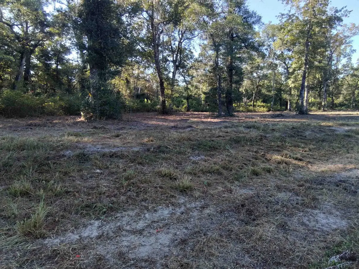 Lot 90 Coastal Highway 98, Crawfordville, FL 32327 - #1