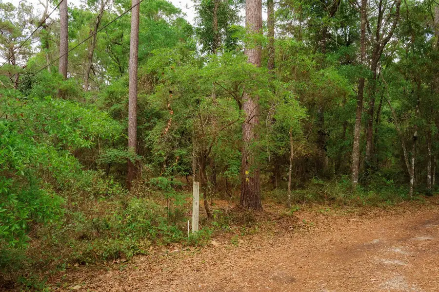 2.97ac Bird Song Trail, Tallahassee, FL 32309 - #2