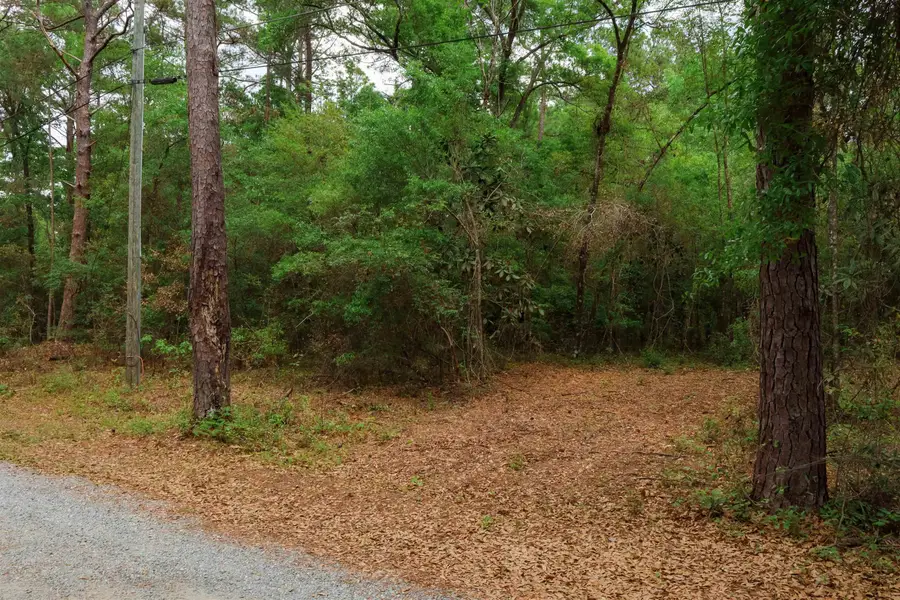 2.97ac Bird Song Trail, Tallahassee, FL 32309 - #3