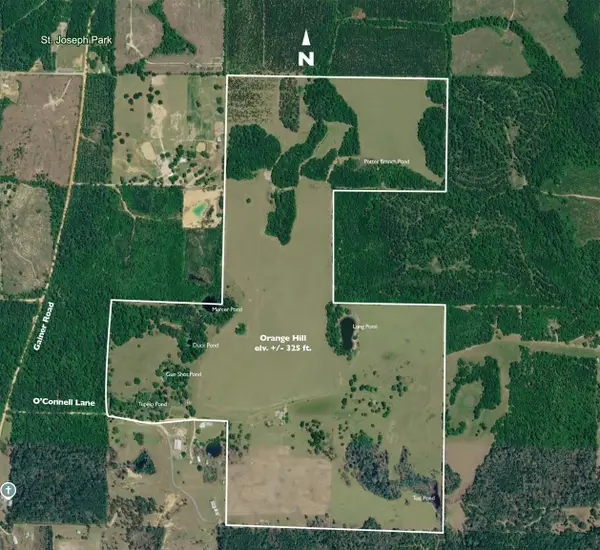 1328 1328 O Connell Lane, Chipley, FL 32428