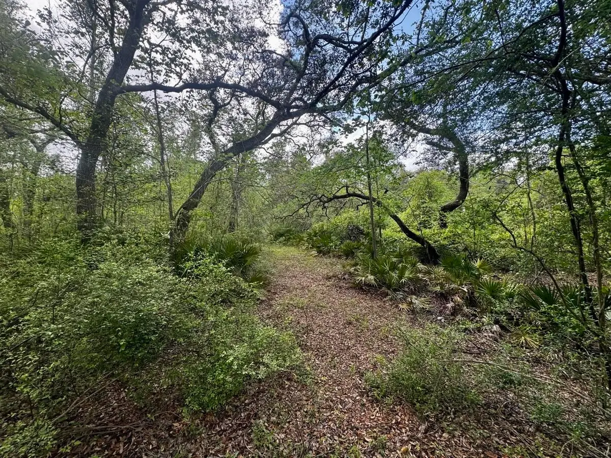 3084 NE Chervil Drive, Lee, FL 32059 - #1