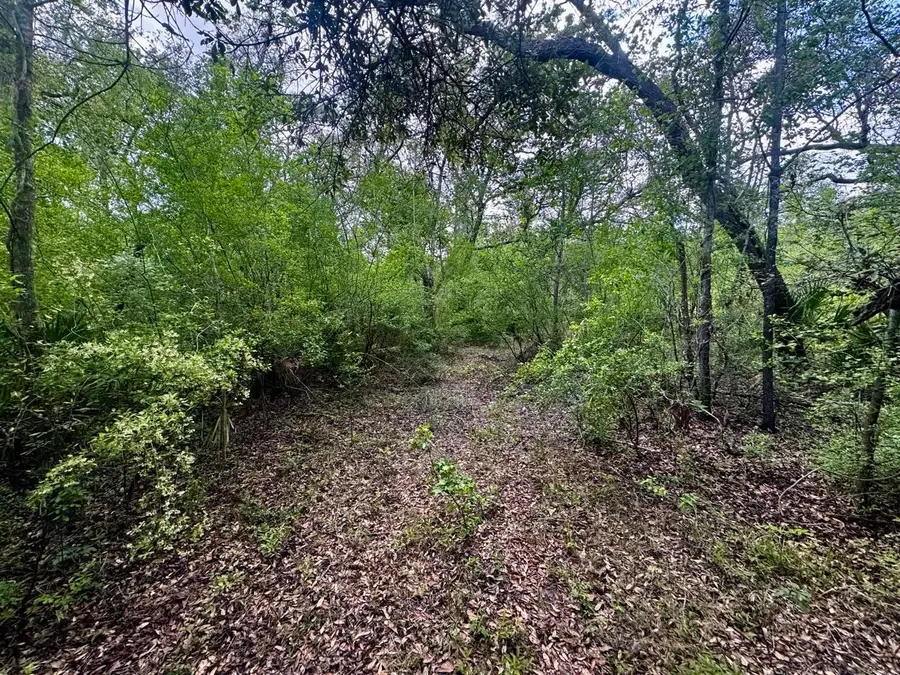 3084 NE Chervil Drive, Lee, FL 32059 - #3