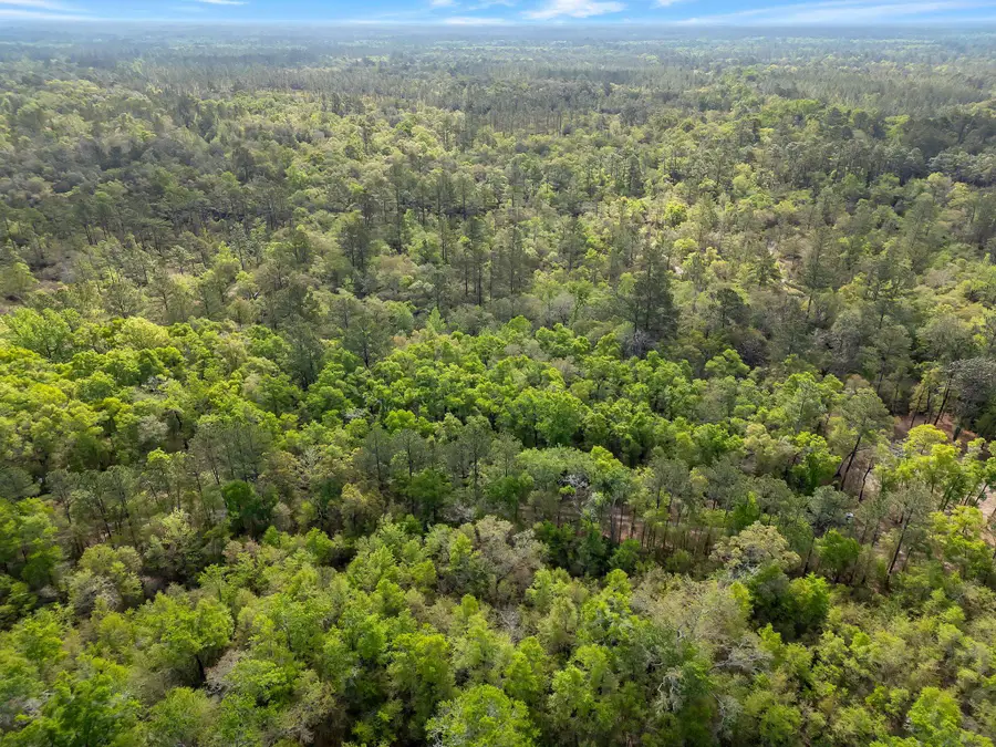 xxx Clay Revell Road, Sopchoppy, FL 32358 - #2
