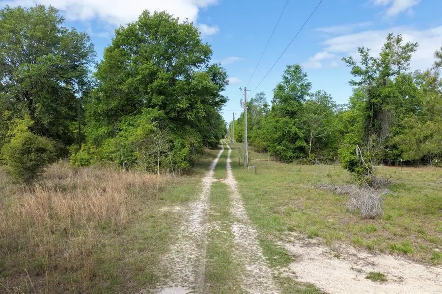 Vacant NE Cedar Trail, Pinetta, FL 32331 - #3