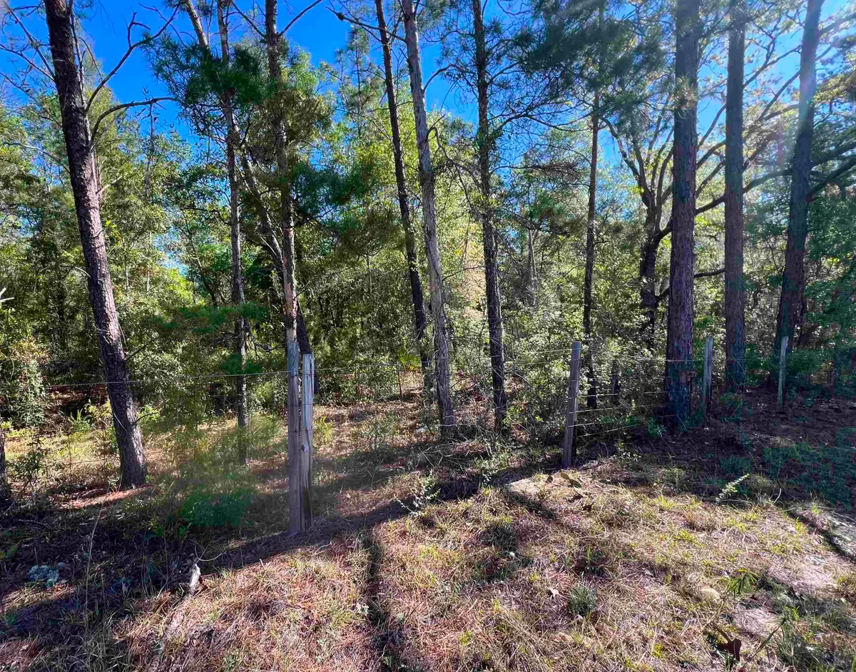 xx Old Federal Road, Quincy, FL 32351 - #1