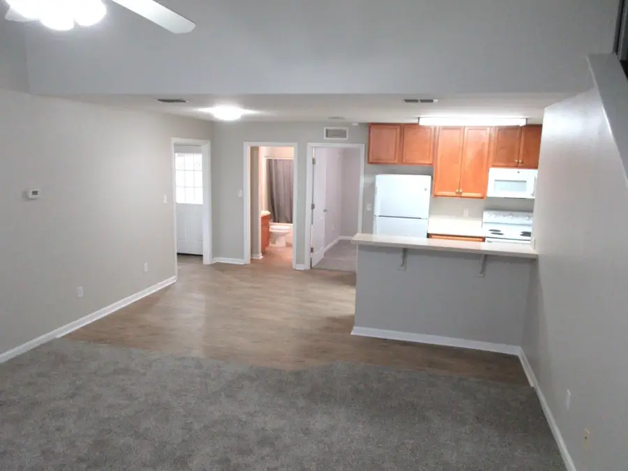 1462 Nena Hills Court, Tallahassee, FL 32304 - #3