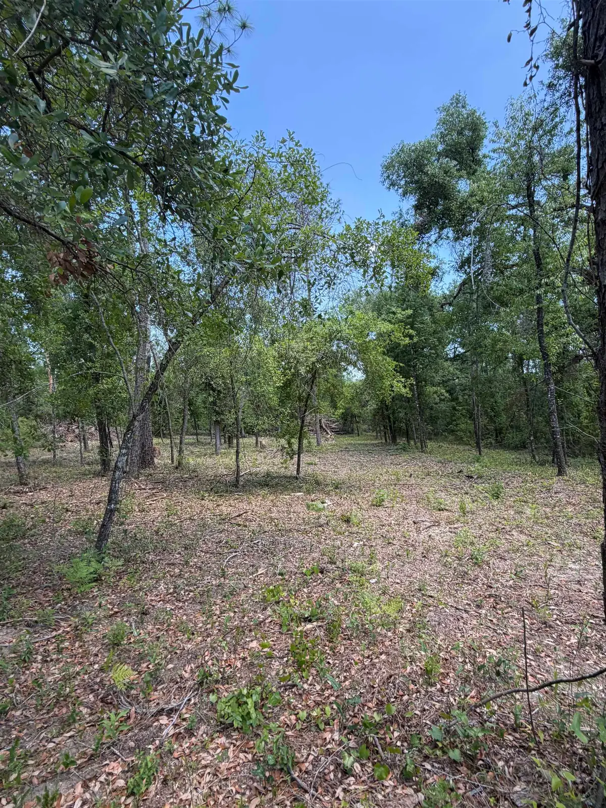 NE Ivy Drive, Lee, FL 32059 - #1