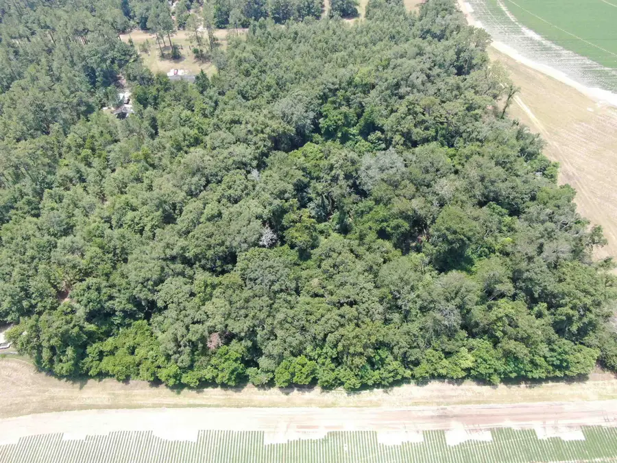 Vacant NE Chervil Drive, Lee, FL 32059 - #3