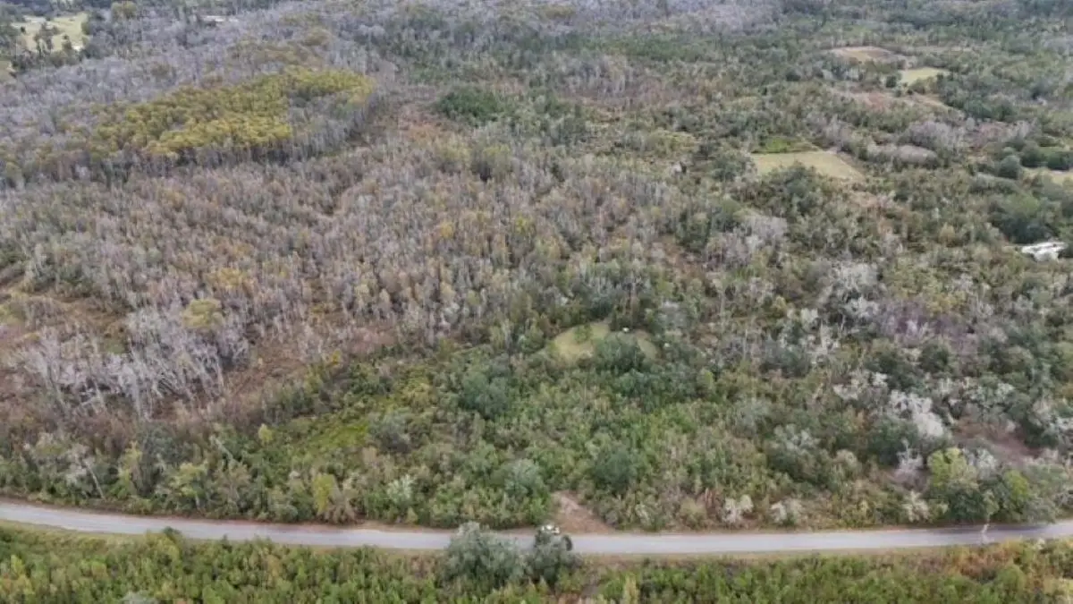 652 NW Flowers Road, Madison, FL 32340 - #1