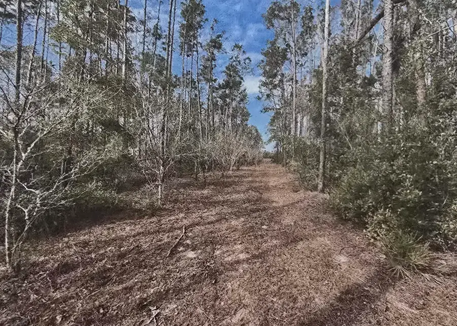 13845 N Gulf Mnr, Perry, FL 32348 - #3