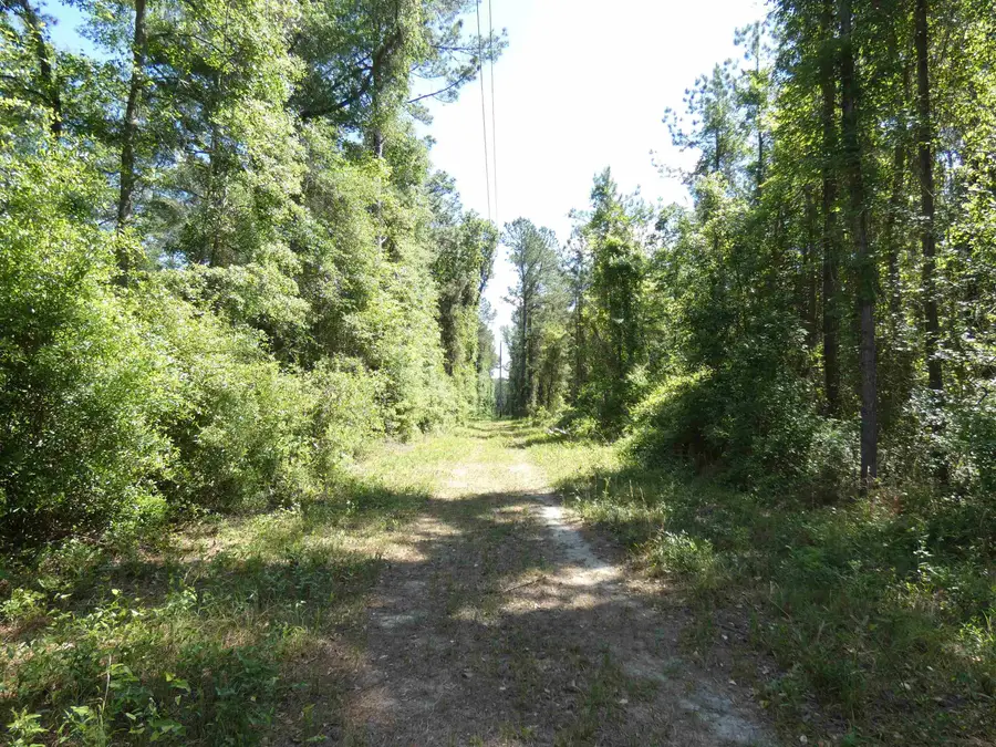 1310 Piney Woods Road, Monticello, FL 32344 - #2