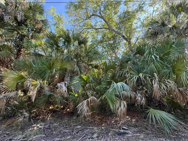 Lot 20 Blue Dolphin Drive, Crawfordville, FL 32327