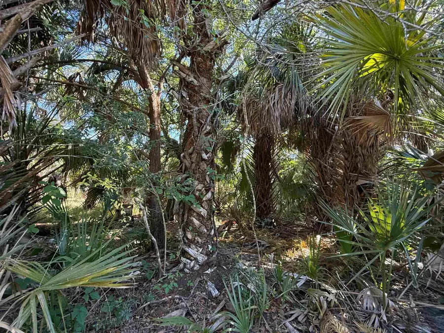 Lot 20 Blue Dolphin Drive, Crawfordville, FL 32327 - #2