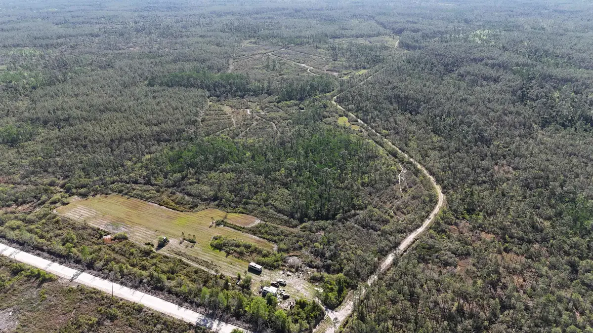 0000 Madison Main Line Road, Greenville, FL 32331 - #1