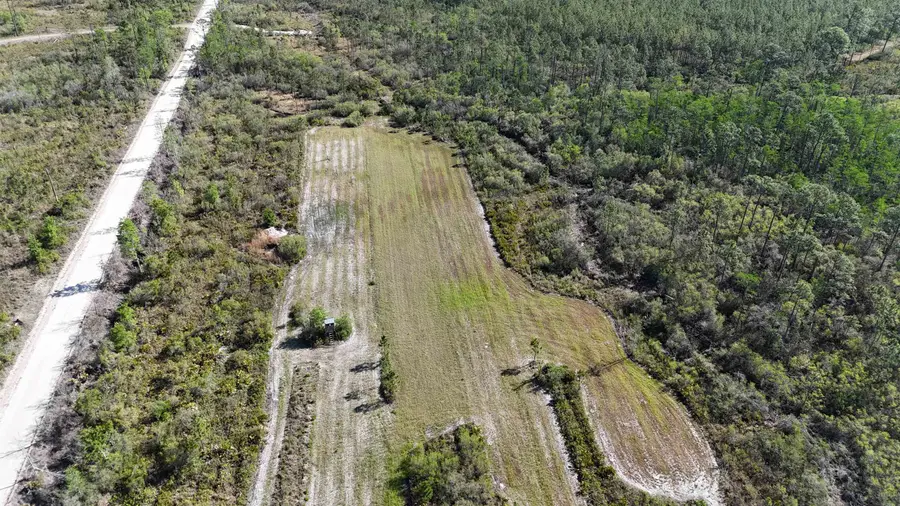 0000 Madison Main Line Road, Greenville, FL 32331 - #2