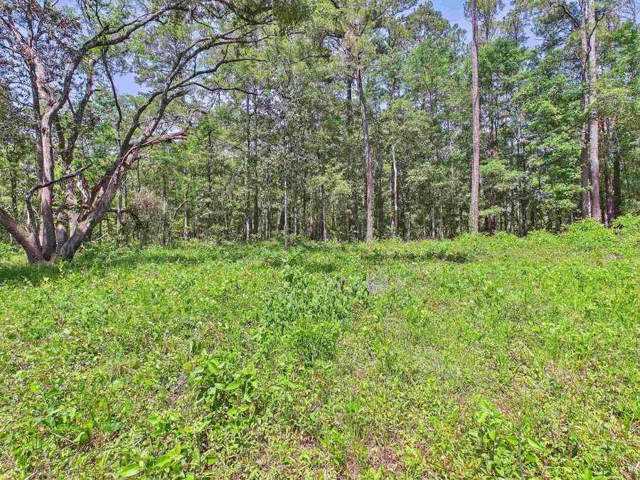 Vacant E 2nd Way, Greenville, FL 32331 - #3